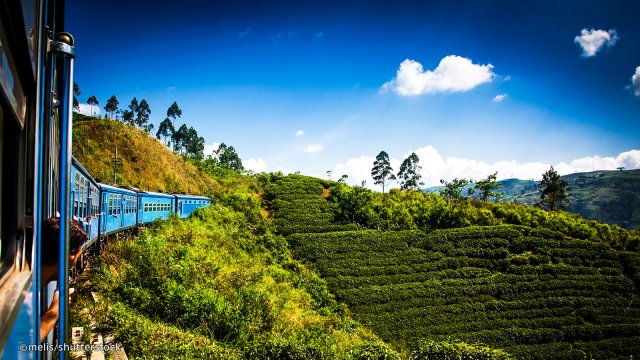 nuwara-eliya.jpg