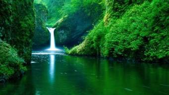 Nature