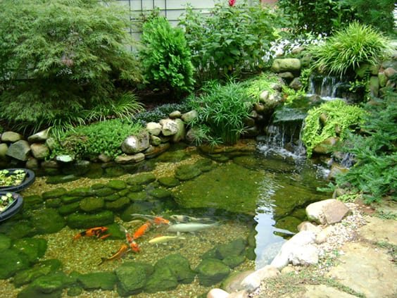 Nature