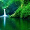 Gallery - nature